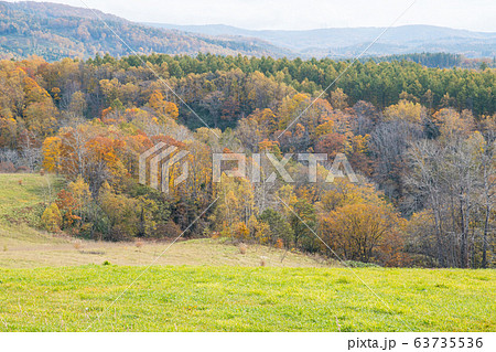 ニセコ周辺の紅葉風景 / 北海道の観光イメージ ニセコ周辺の紅葉風景 / 北海道の観光イメージ 63735536