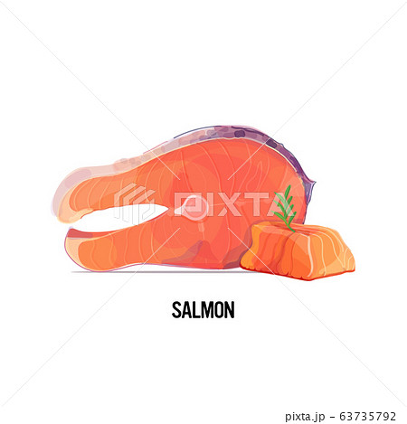 fresh raw salmon steak slice with rosemary isolated on white background fresh raw salmon steak slice with rosemary isolated on white background 63735792
