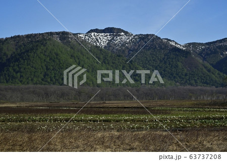 ミズバショウ咲く尾瀬ヶ原下ノ大堀に景鶴山 63737208