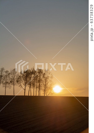 春の夕暮れの空とシラカバ並木 春の夕暮れの空とシラカバ並木 63738329