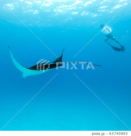 Underwater view of hovering Giant oceanic manta ray, Manta Birostris , and man free diving in blue ocean. Watching undersea world during adventure snorkeling tour on Maldives islands. 63740903