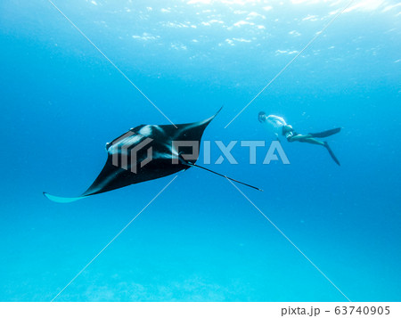 Underwater view of hovering Giant oceanic manta ray, Manta Birostris , and man free diving in blue ocean. Watching undersea world during adventure snorkeling tour on Maldives islands. 63740905