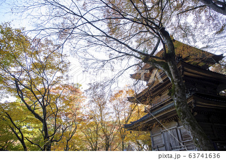 多宝塔/高源寺/兵庫 63741636