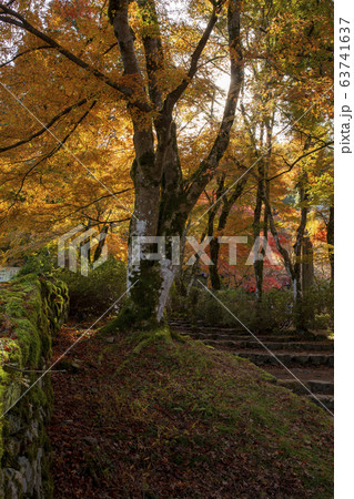 高源寺/兵庫 高源寺/兵庫 63741637