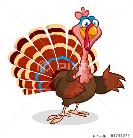 Turkey cartoon bird. Vector illustration isolated Turkey cartoon bird. Vector illustration isolated 63742077