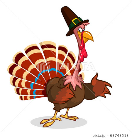 Cartoon turkey. Thanksgiving vector illustration Cartoon turkey. Thanksgiving vector illustration 63743513