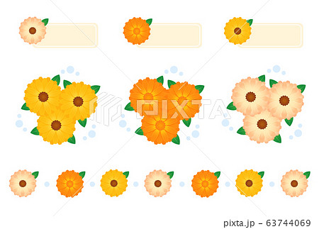キンセンカ 63744069