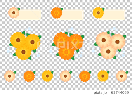 キンセンカ 63744069