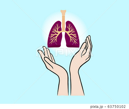 lungs in hands 63750102