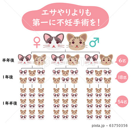 地域猫TNRの説明イラスト　エサやりより不妊手術 63750356