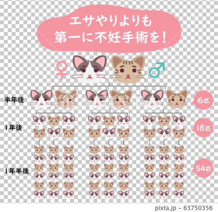 地域猫TNRの説明イラスト　エサやりより不妊手術 63750356