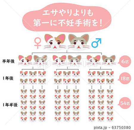 地域猫TNRの説明イラスト エサやりより不妊手術 地域猫TNRの説明イラスト エサやりより不妊手術 63750380