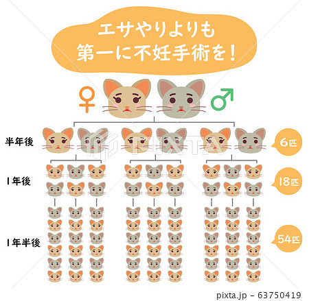 地域猫TNRの説明イラスト　エサやりより不妊手術 63750419