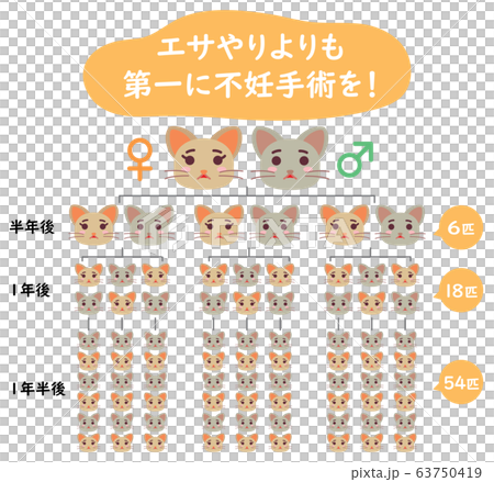 地域猫TNRの説明イラスト　エサやりより不妊手術 63750419