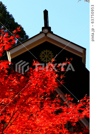 紅葉 紅葉 63750953