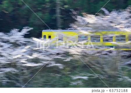 千葉県 いすみ鉄道 桜並木 流し撮り 上総東駅 千葉県 いすみ鉄道 桜並木 流し撮り 上総東駅 63752188