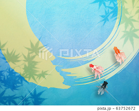 泳ぐ金魚 泳ぐ金魚 63752672