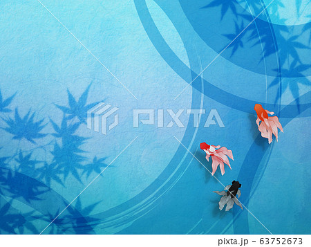 泳ぐ金魚 63752673