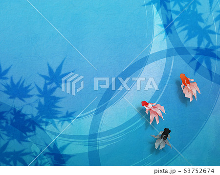 泳ぐ金魚 泳ぐ金魚 63752674