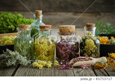 Bottles of tincture and medicinal herbs 63753717