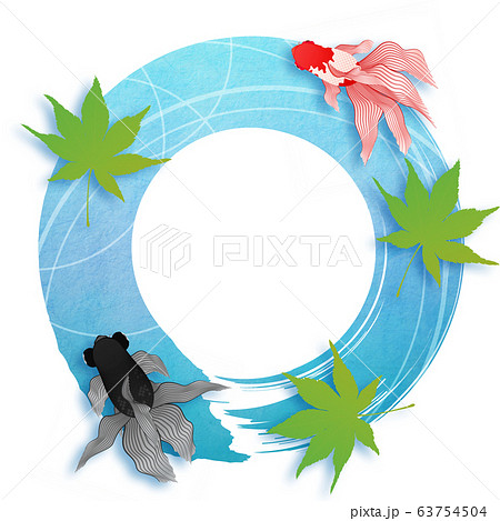 泳ぐ金魚 63754504