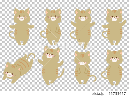 Cat illustration pose variation set Cat illustration pose variation set 63755657