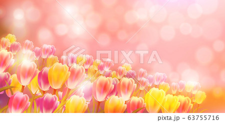 チューリップ 花 春 背景のイラスト素材 チューリップ 花 春 背景のイラスト素材