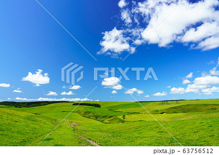 牧場の風景 牧場の風景 63756512