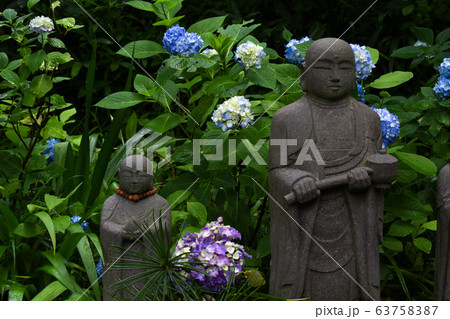 神奈川　地蔵　アジサイ 63758387