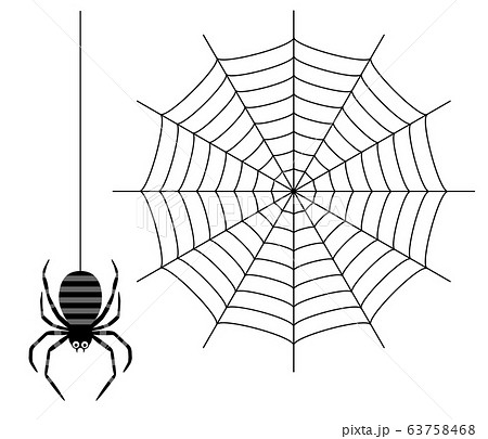 蜘蛛と蜘蛛の巣のイラスト素材