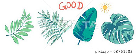 熱帯性 熱帯産 熱帯 63761502