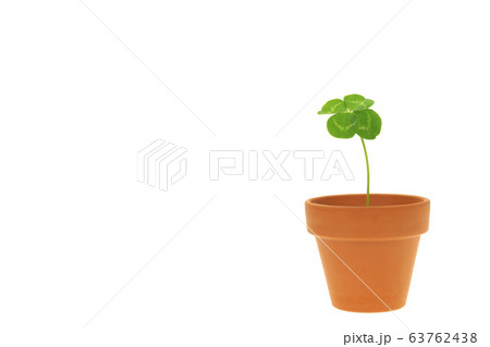 四つ葉のクローバー 四つ葉のクローバー 63762438