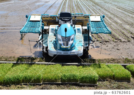 田植え中の水田 63762601