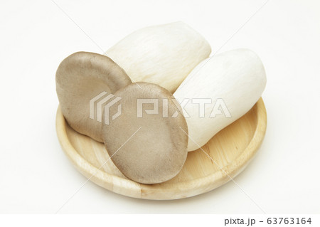 エリンギ 63763164