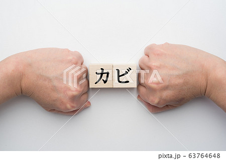 イメージ カビ イメージ カビ 63764648