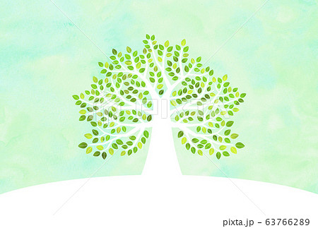 大きな木 グリーン 大きな木 グリーン 63766289