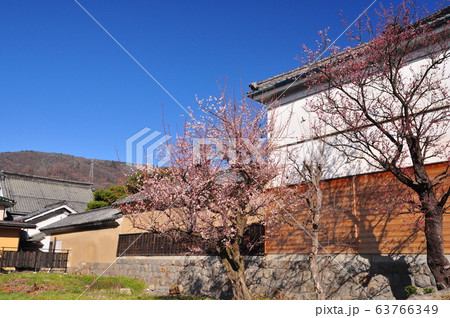 重伝建の・蔵の街「呉服商山丹」 重伝建の・蔵の街「呉服商山丹」 63766349