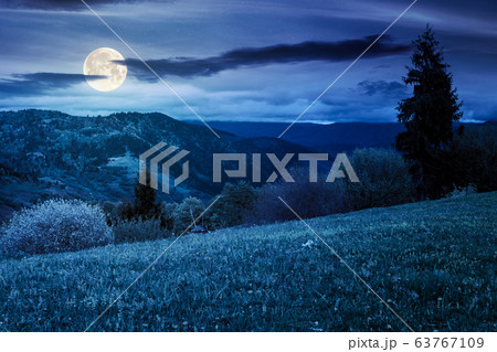 beautiful rural landscape in mountains at night. 63767109