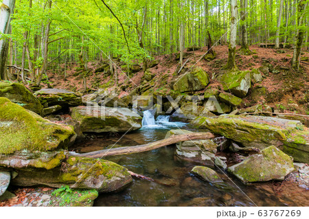 water stream in the beech forest. wonderful nature water stream in the beech forest. wonderful nature 63767269