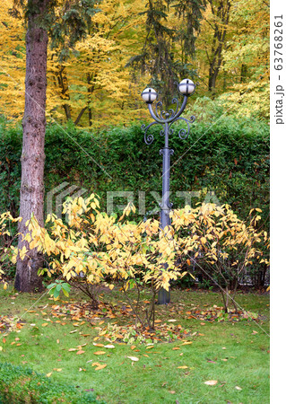 Pole lamp in a park lawn. Pole lamp in a park lawn. 63768261