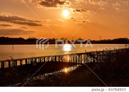 多々良沼の夕焼け【群馬県館林市】 多々良沼の夕焼け【群馬県館林市】 63768933