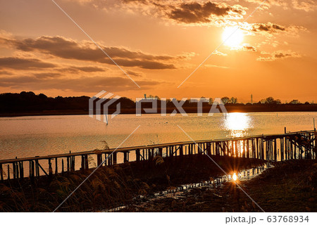 多々良沼の夕焼け【群馬県館林市】 多々良沼の夕焼け【群馬県館林市】 63768934