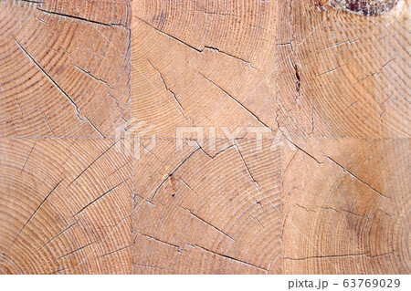 Different wood textures. Different wood textures. 63769029
