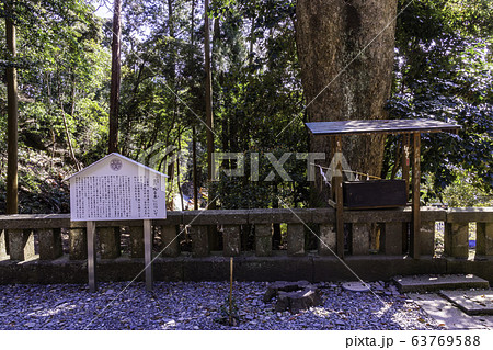 (静岡県)久能山東照宮 神廟の「金の成る木」 (静岡県)久能山東照宮 神廟の「金の成る木」 63769588