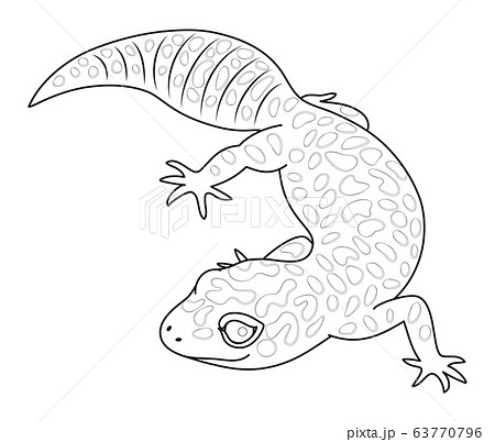 ヒョウモントカゲモドキ キャラクター イラスト ぬりえ 63770796