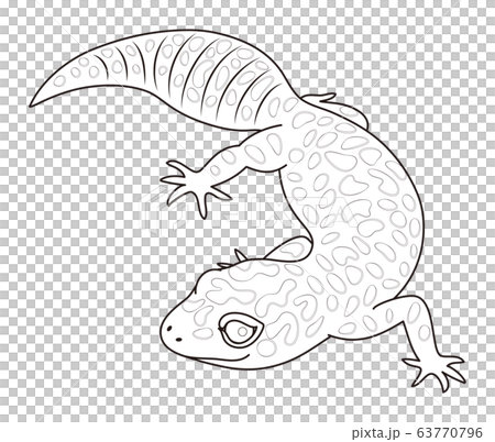 ヒョウモントカゲモドキ キャラクター イラスト ぬりえ 63770796