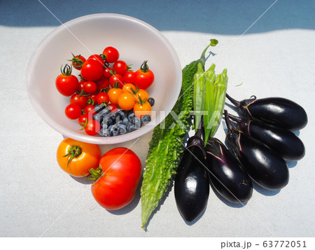 マンションのベランダ菜園で取れました トマト ミニトマト オクラ ナス ゴーヤ ブルーベリーの写真素材