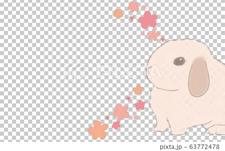 有粉紅色花朵的兔子框架 63772478