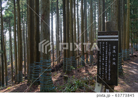 賤ヶ岳登山道 63773845