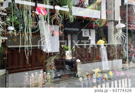 街風景　春の川越 63774326